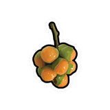 Quenepas Sticker